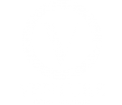 Venture Construction